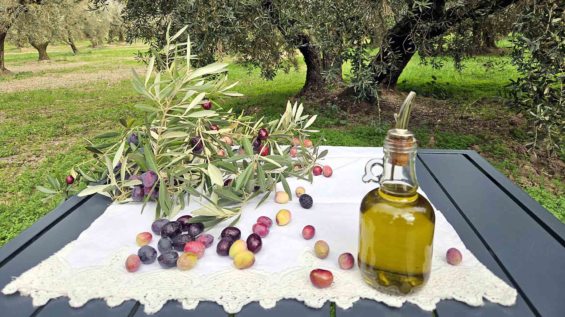 Fabrication de l'huile d'olive